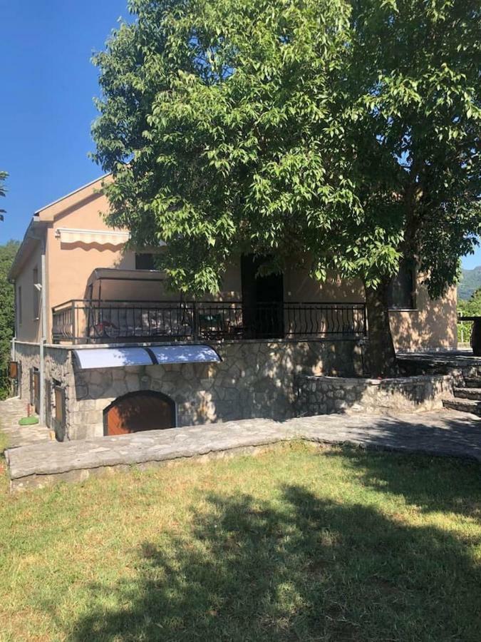 T-A Apartment Rijeka Crnojevića Kültér fotó