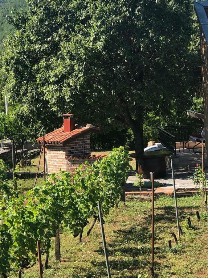 T-A Apartment Rijeka Crnojevića Kültér fotó
