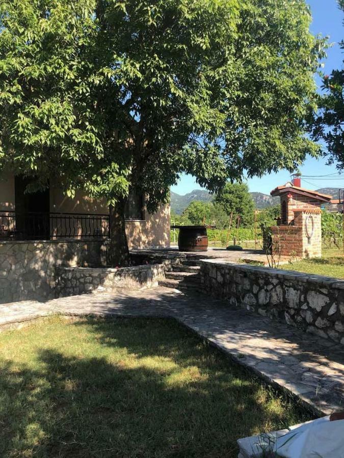 T-A Apartment Rijeka Crnojevića Kültér fotó