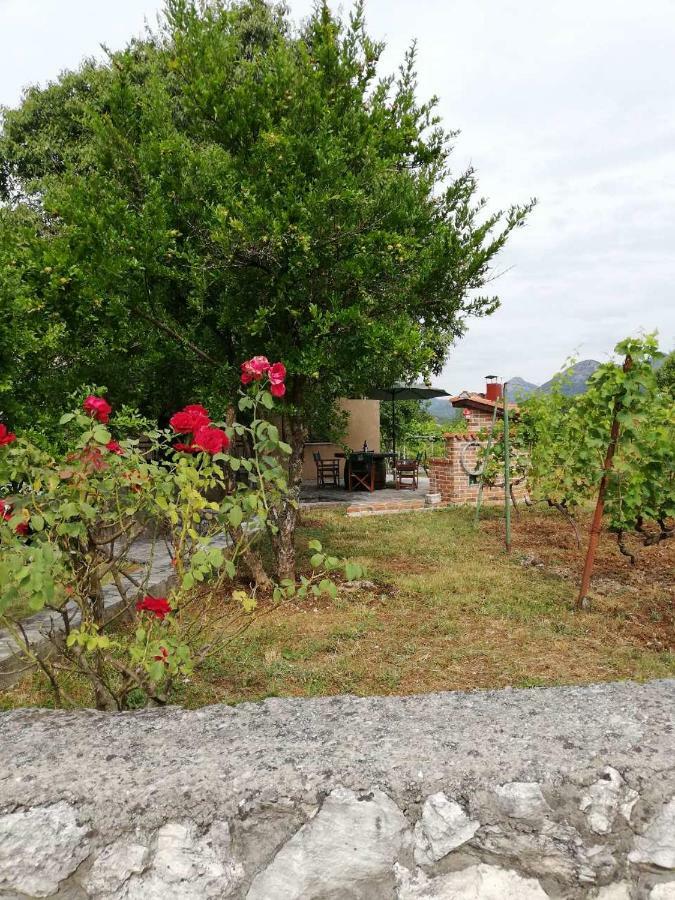 T-A Apartment Rijeka Crnojevića Szoba fotó